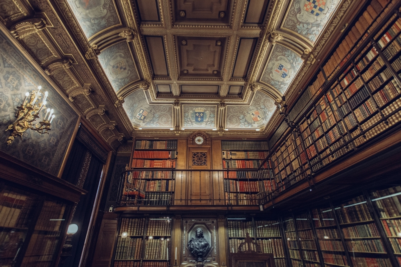 bibliotheque-CASTAGNIERS-min_library-863148